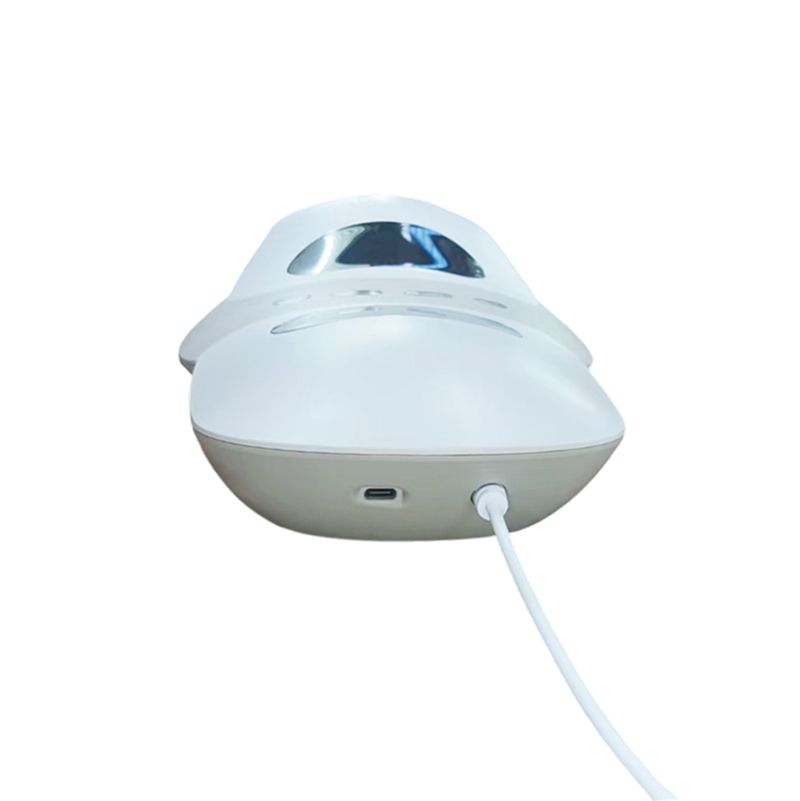 Waist Massager WM101