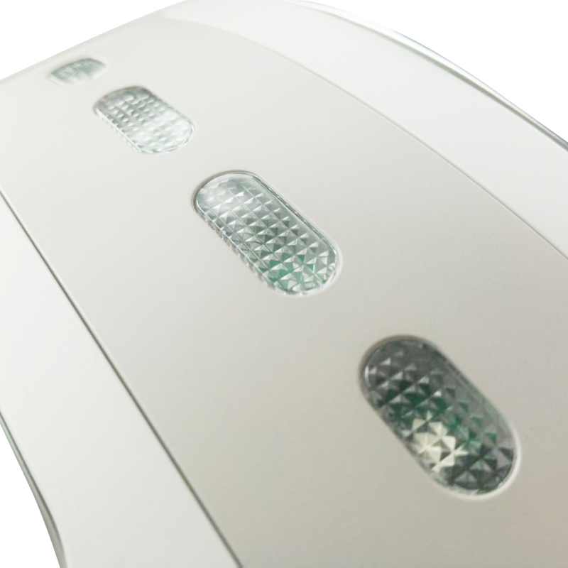Waist Massager WM101